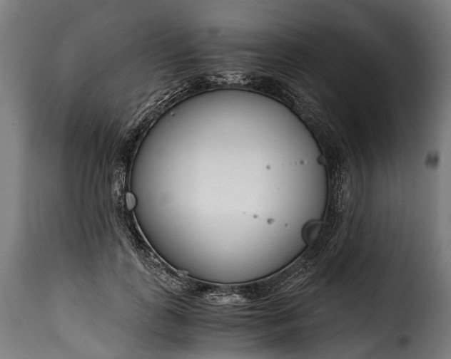 X0000115640747200911241711