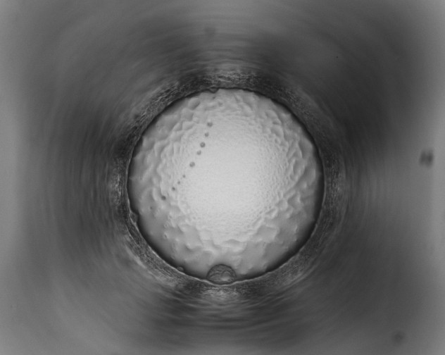 X0000115640749200911241711