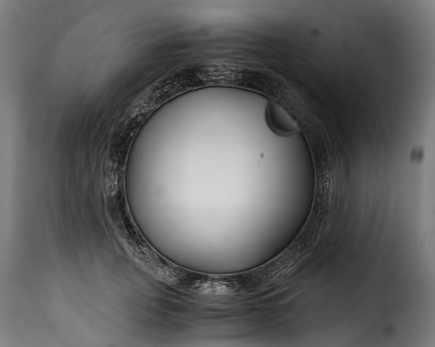 X0000115640751200911241711