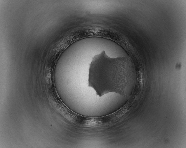 X0000115640754200911241711