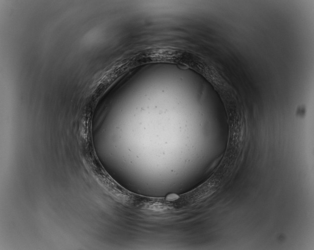 X0000115640755200911241711