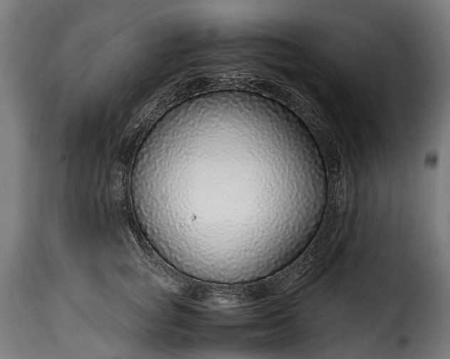 X0000115640757200911241711