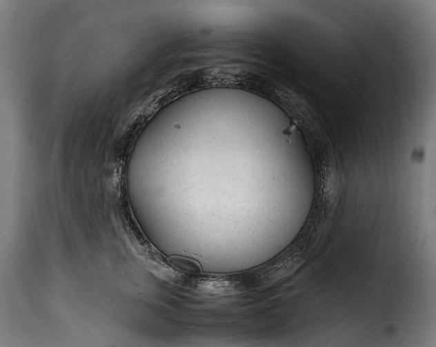 X0000115640759200911241711