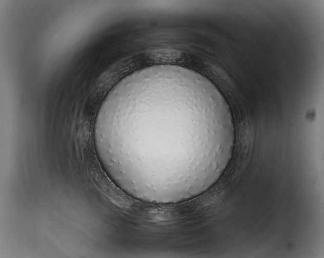 X0000115640761200911241711