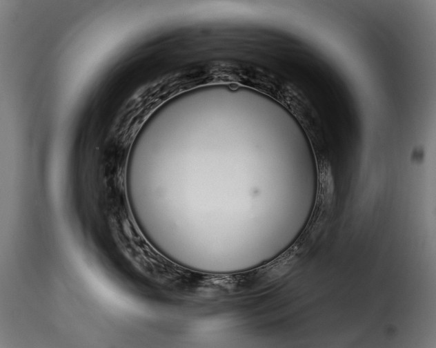 X0000115640765200911241711