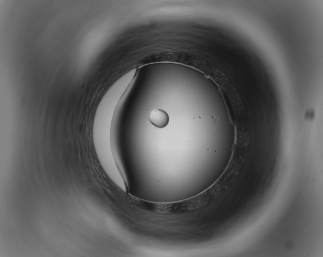 X0000115640766200911241711