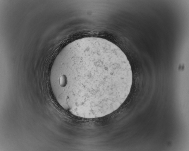 X0000115640769200911241710