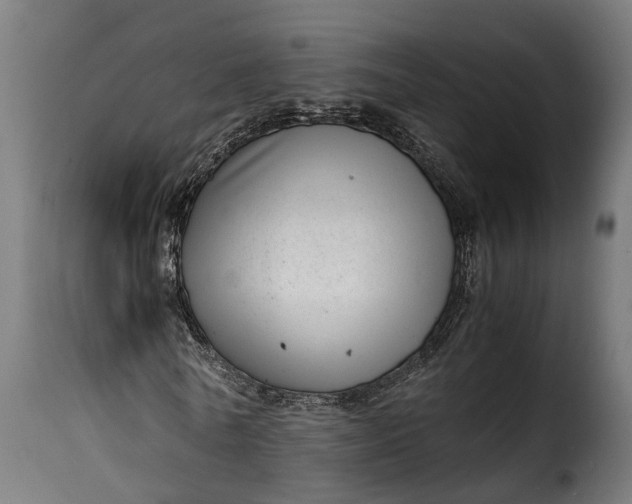 X0000115640770200911241710