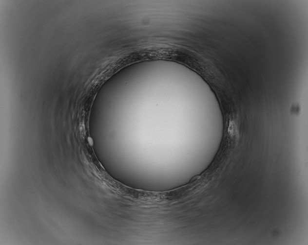 X0000115640771200911241710