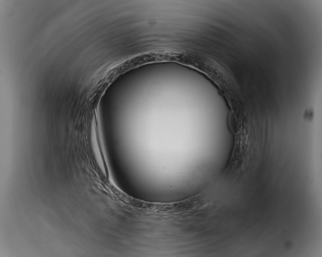 X0000115640773200911241710