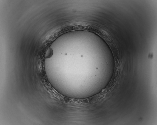 X0000115640774200911241710