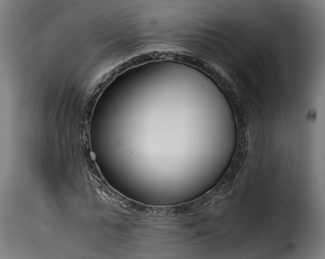 X0000115640775200911241710