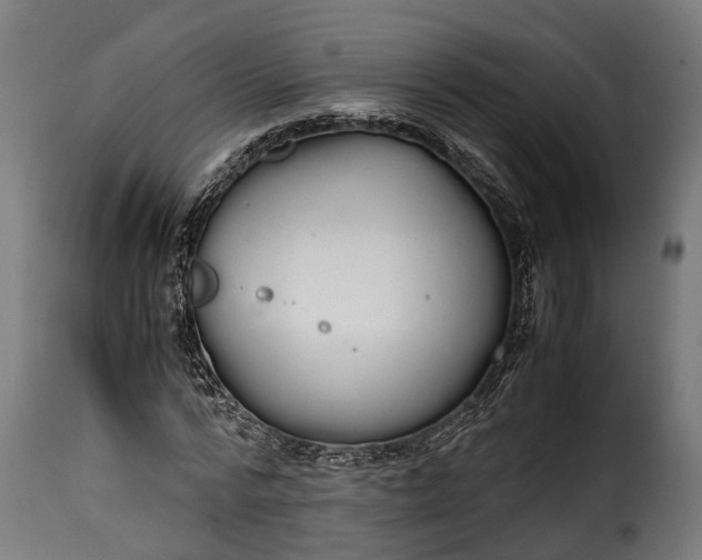 X0000115640776200911241710