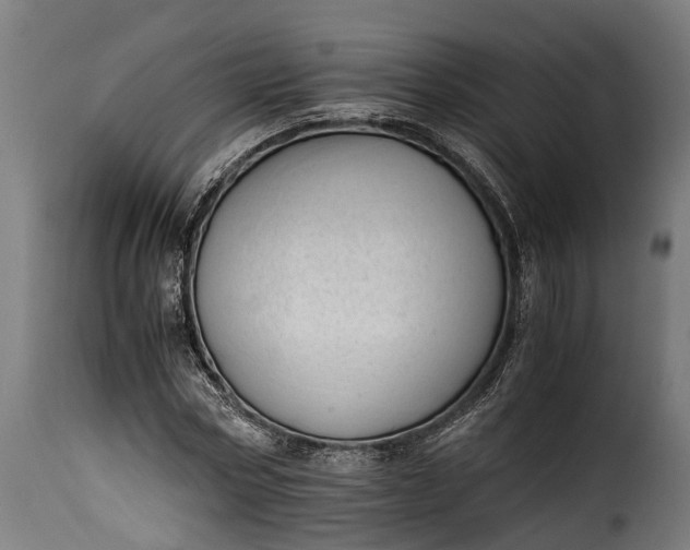 X0000115640778200911241710