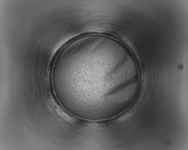 X0000115640779200911241710