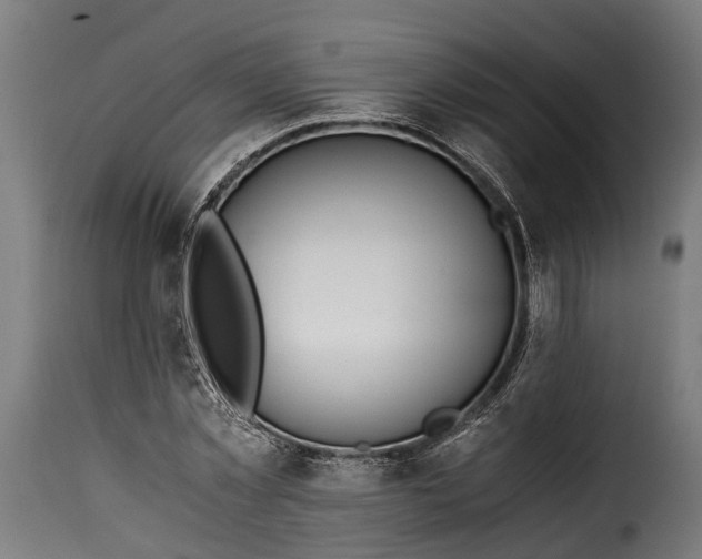 X0000115640781200911241710