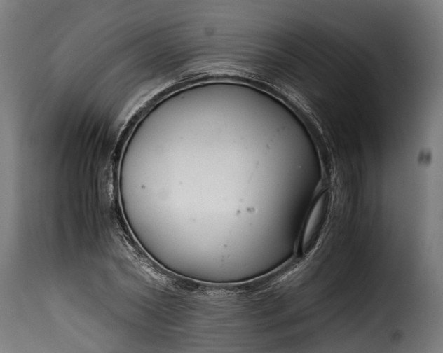 X0000115640782200911241710