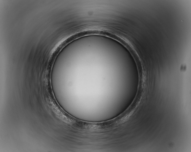 X0000115640783200911241710