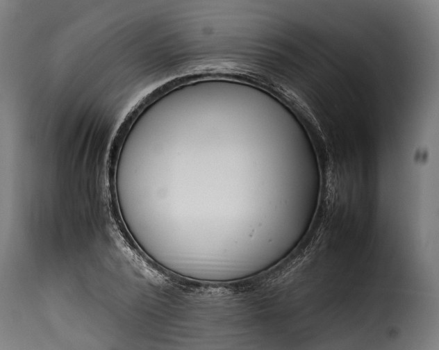 X0000115640784200911241710