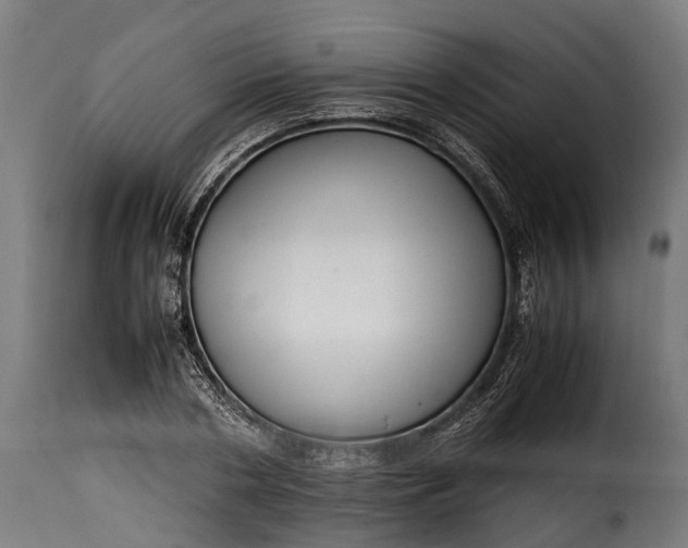 X0000115640786200911241710