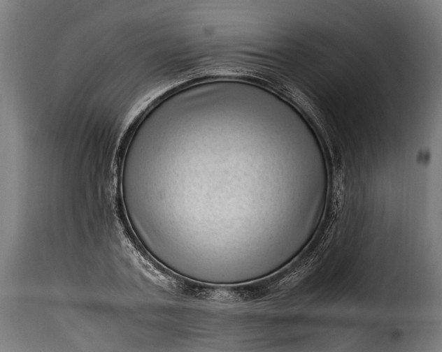 X0000115640787200911241709