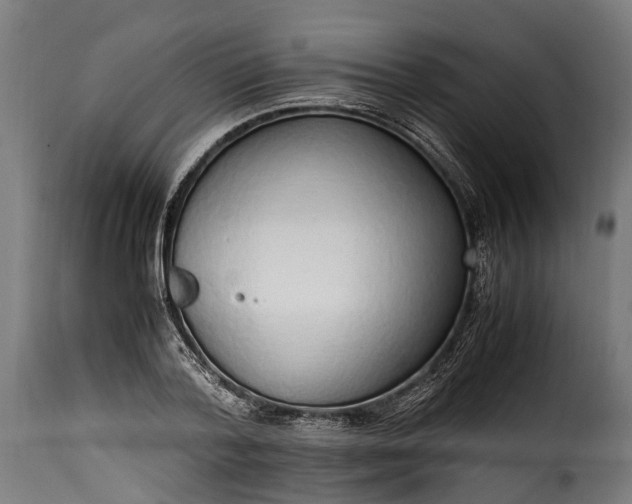 X0000115640788200911241709