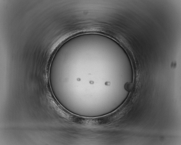 X0000115640789200911241709