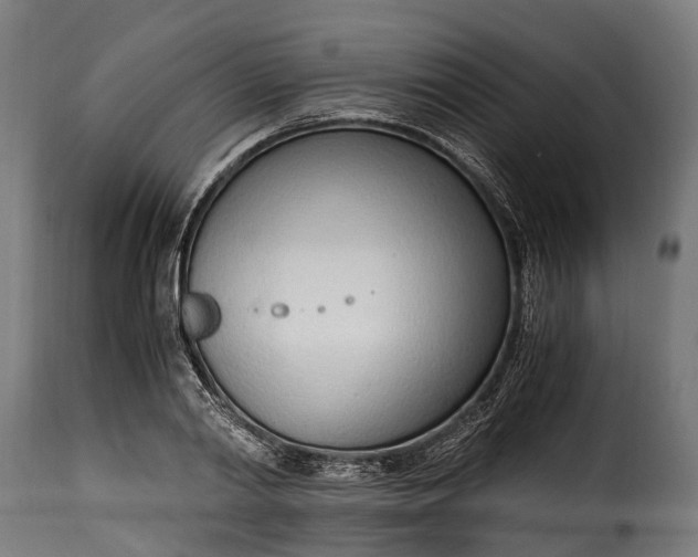 X0000115640790200911241709