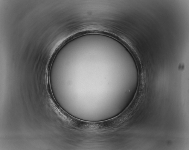 X0000115640791200911241709