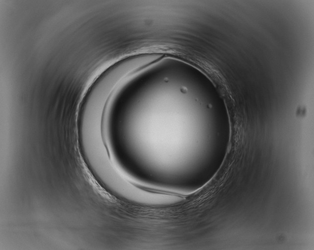 X0000115640792200911241709