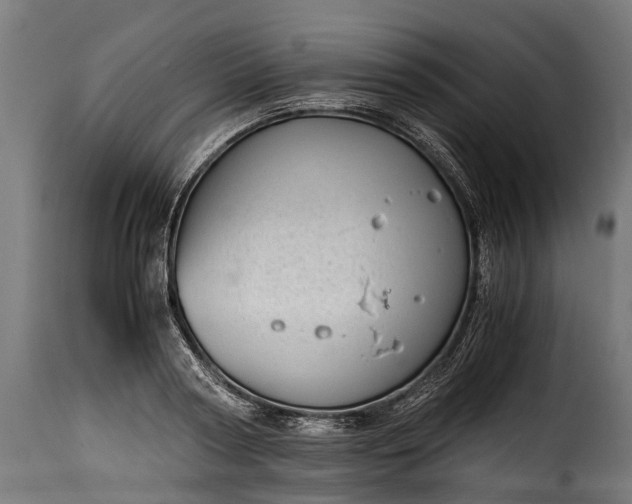 X0000115640794200911241709