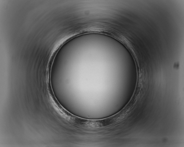 X0000115640795200911241709