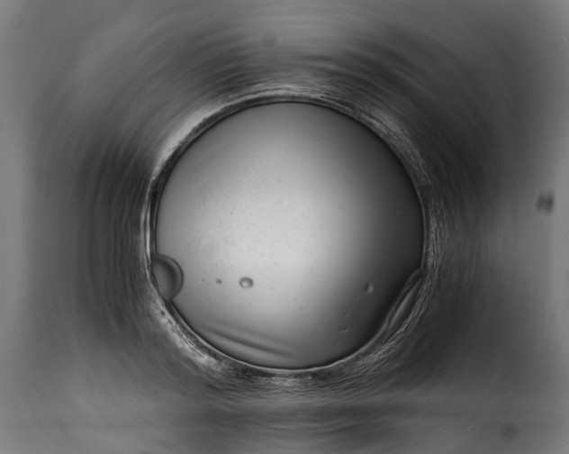 X0000115640796200911241709