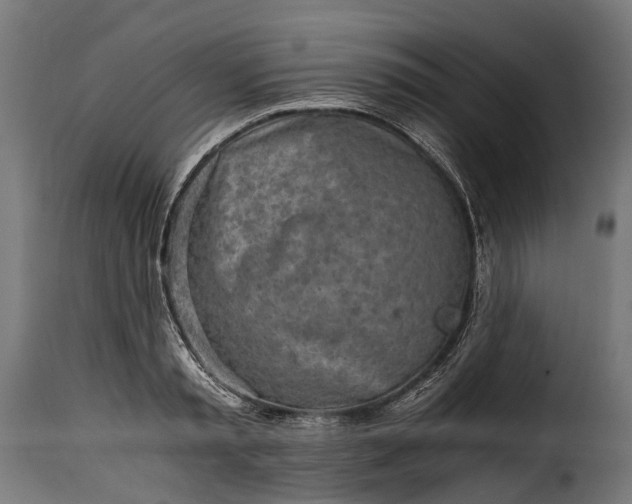 X0000115640797200911241709