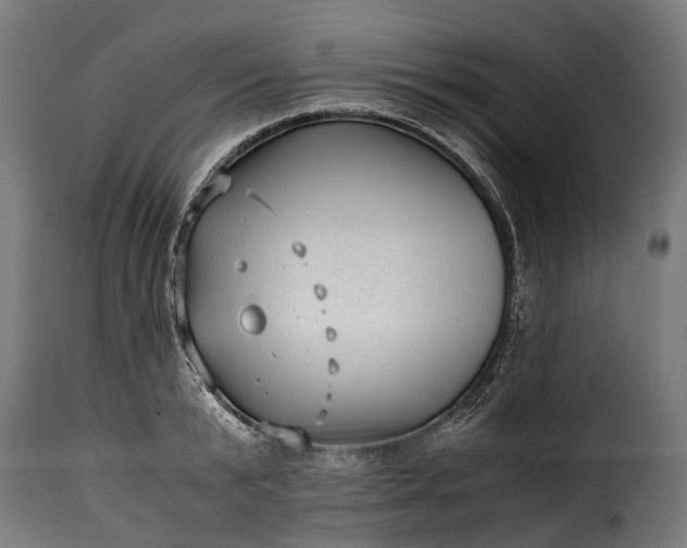 X0000115640799200911241709