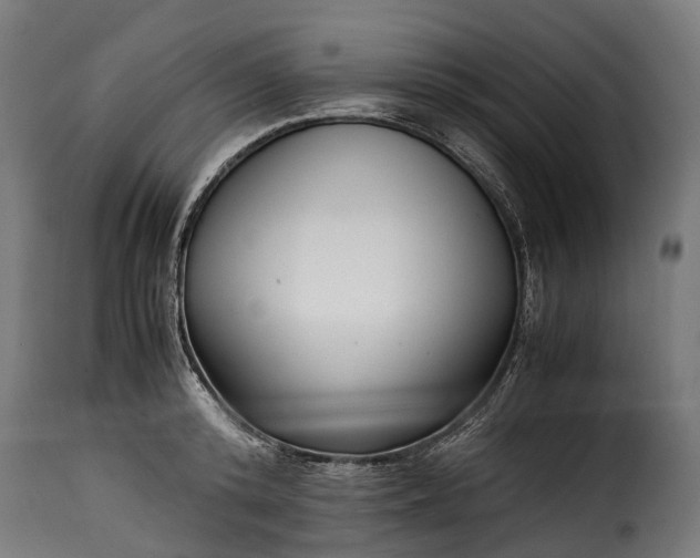 X0000115640800200911241709