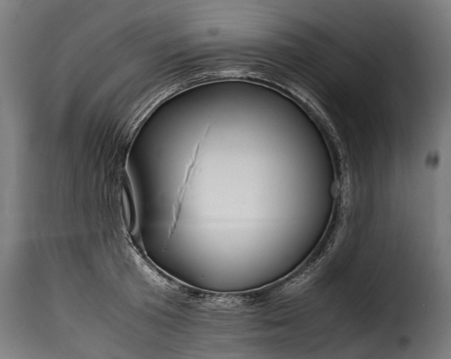 X0000115640801200911241709