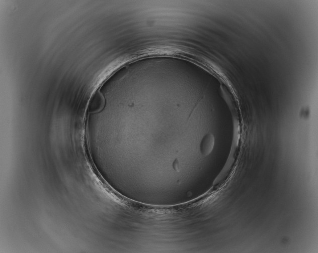 X0000115640802200911241709