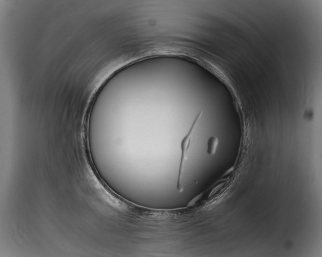 X0000115640803200911241709