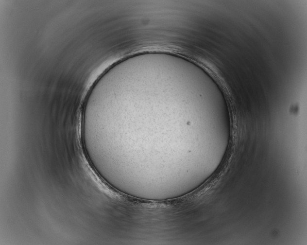 X0000115640804200911241709