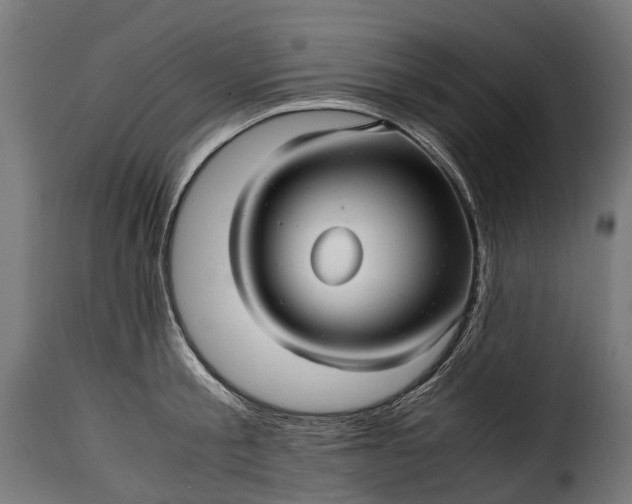 X0000115640805200911241709