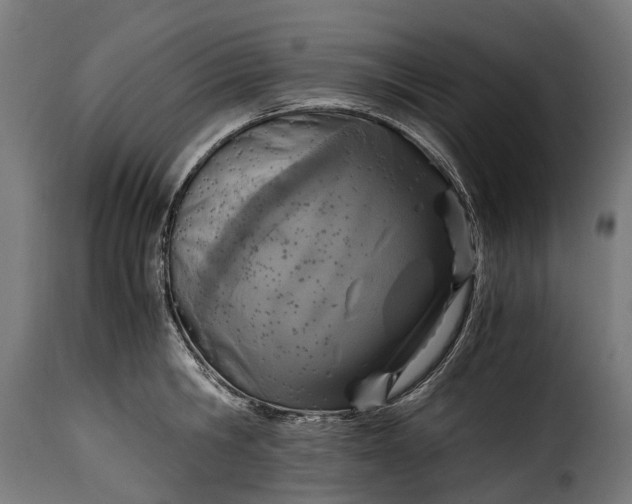 X0000115640806200911241709