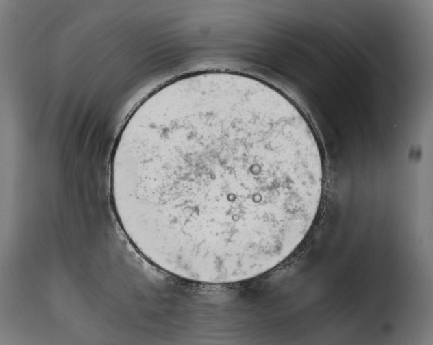 X0000115640807200911241709