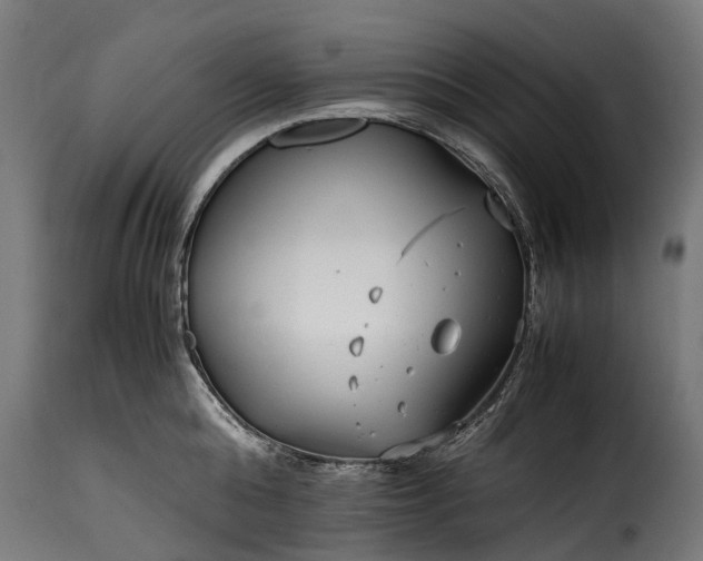 X0000115640808200911241709