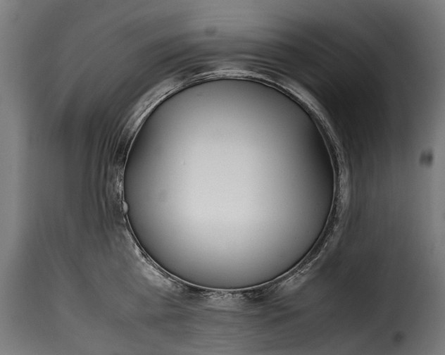 X0000115640809200911241709