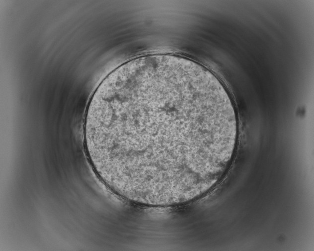 X0000115640810200911241709