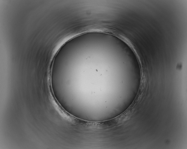 X0000115640811200911241709