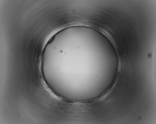 X0000115640812200911241709