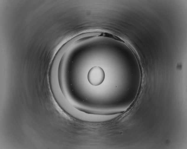 X0000115640813200911241709