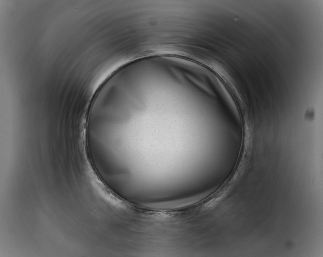 X0000115640814200911241709